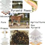 farm and agriculture