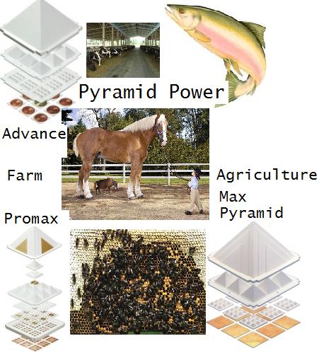 Farms and Agriculture uses of Pyramids