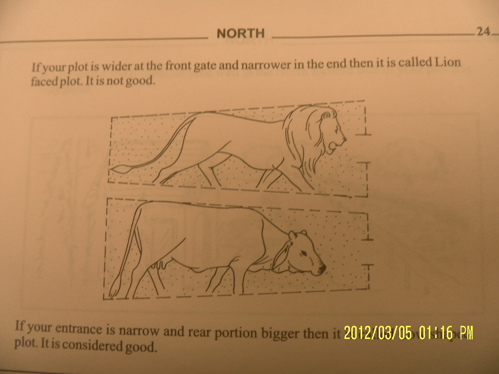 Cow Vs Lion shape