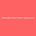 Antaryatra (intra travel in spinal cord)