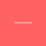 Brahmastahala