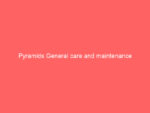 pyramids general care and maintenance 798 44b5b