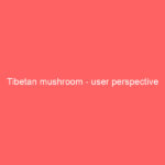 Tibetan mushroom - user perspective Tibetan mushroom - user perspective